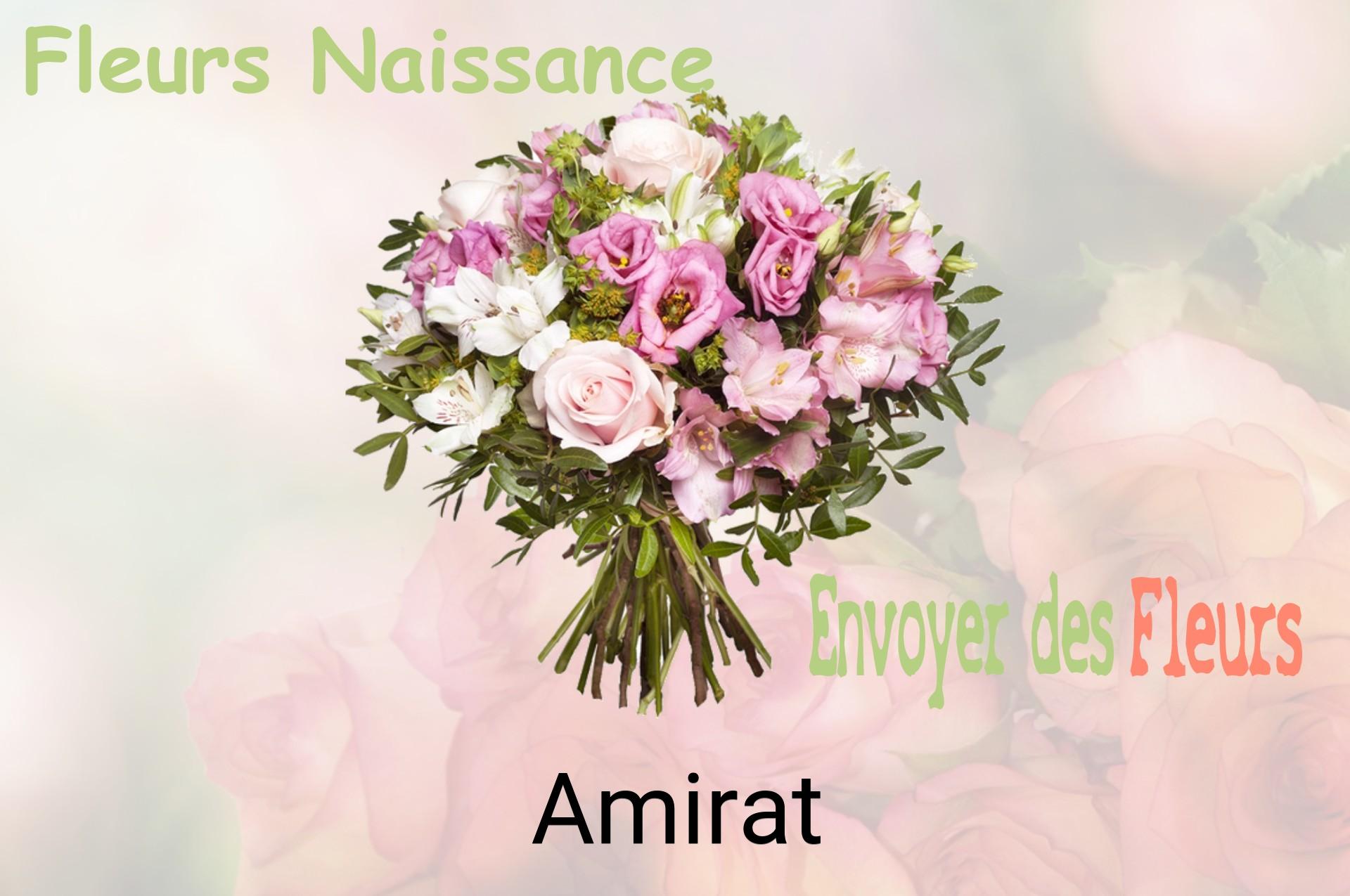 Bouquet de fleurs de naissance livré à Amirat